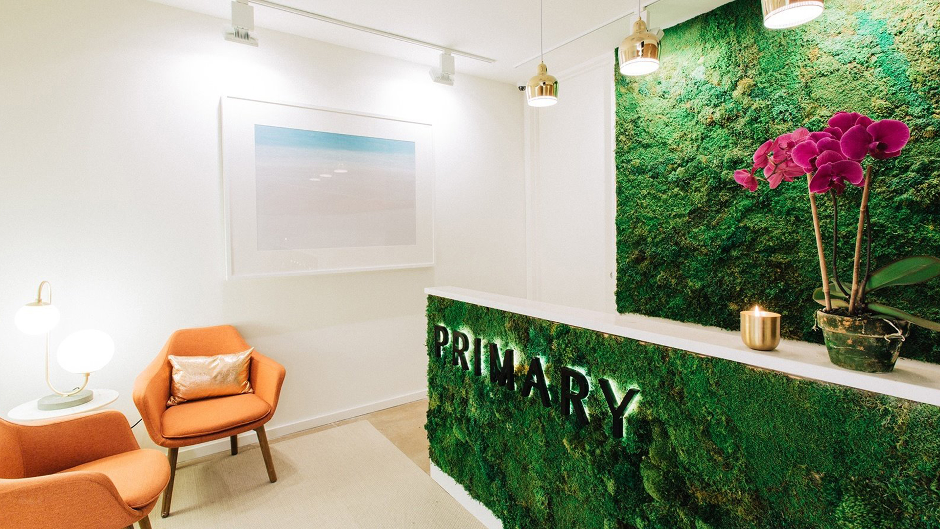 Primary_Interior1_2015