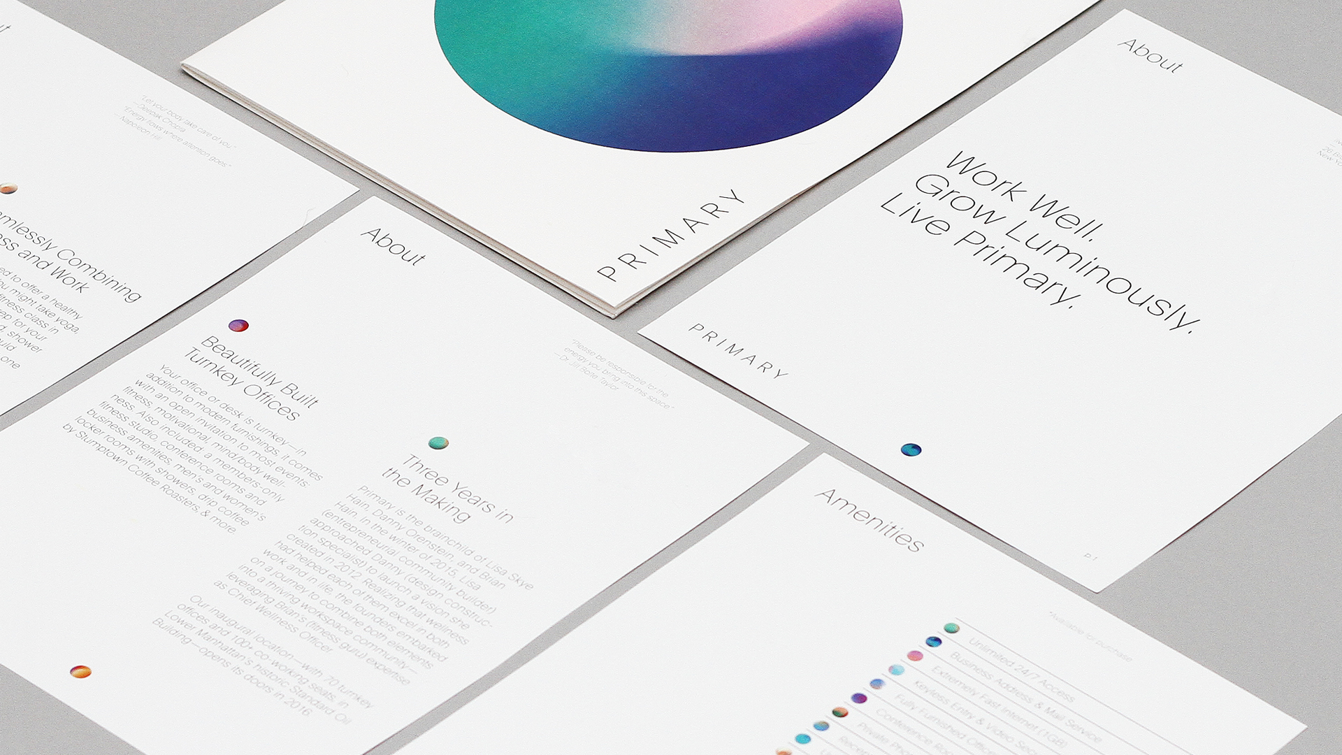 Primary_Pamphlet2_2015