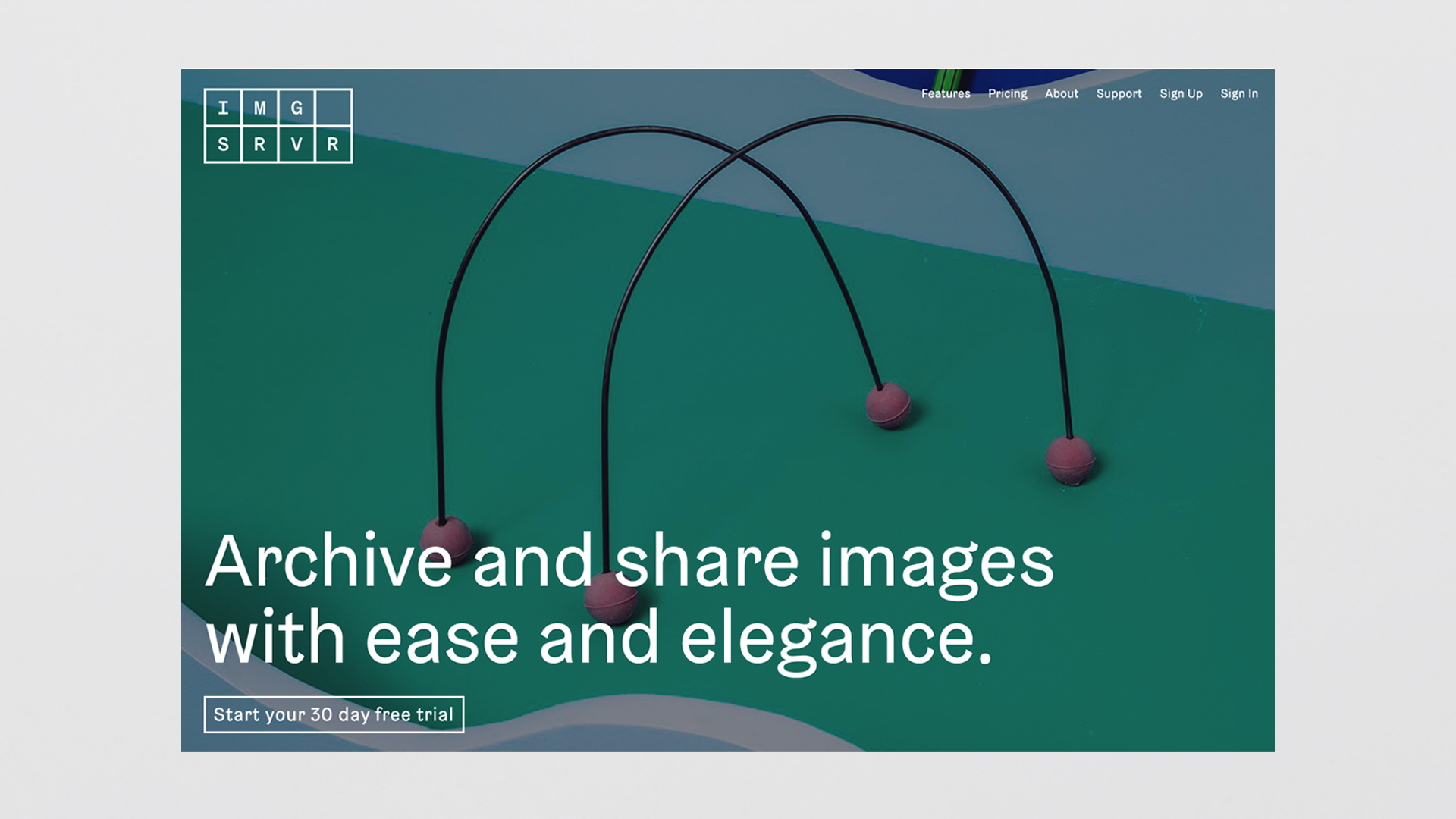 IMGSRVR_Website1_2017